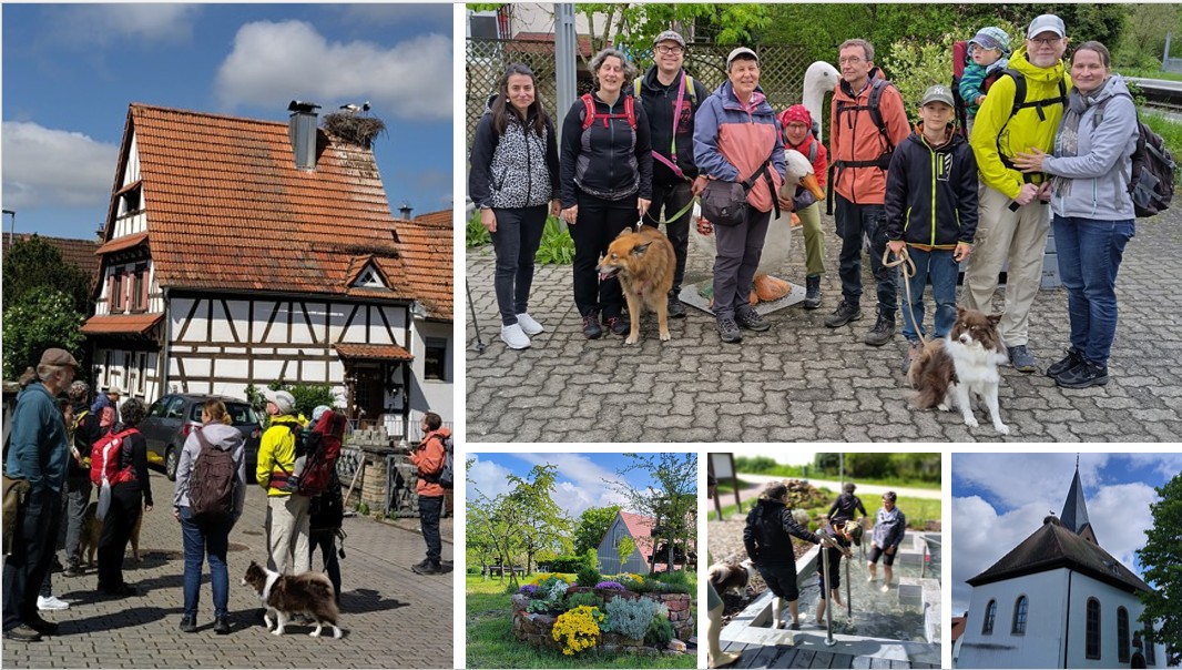 2026 04 Storchenweg 00